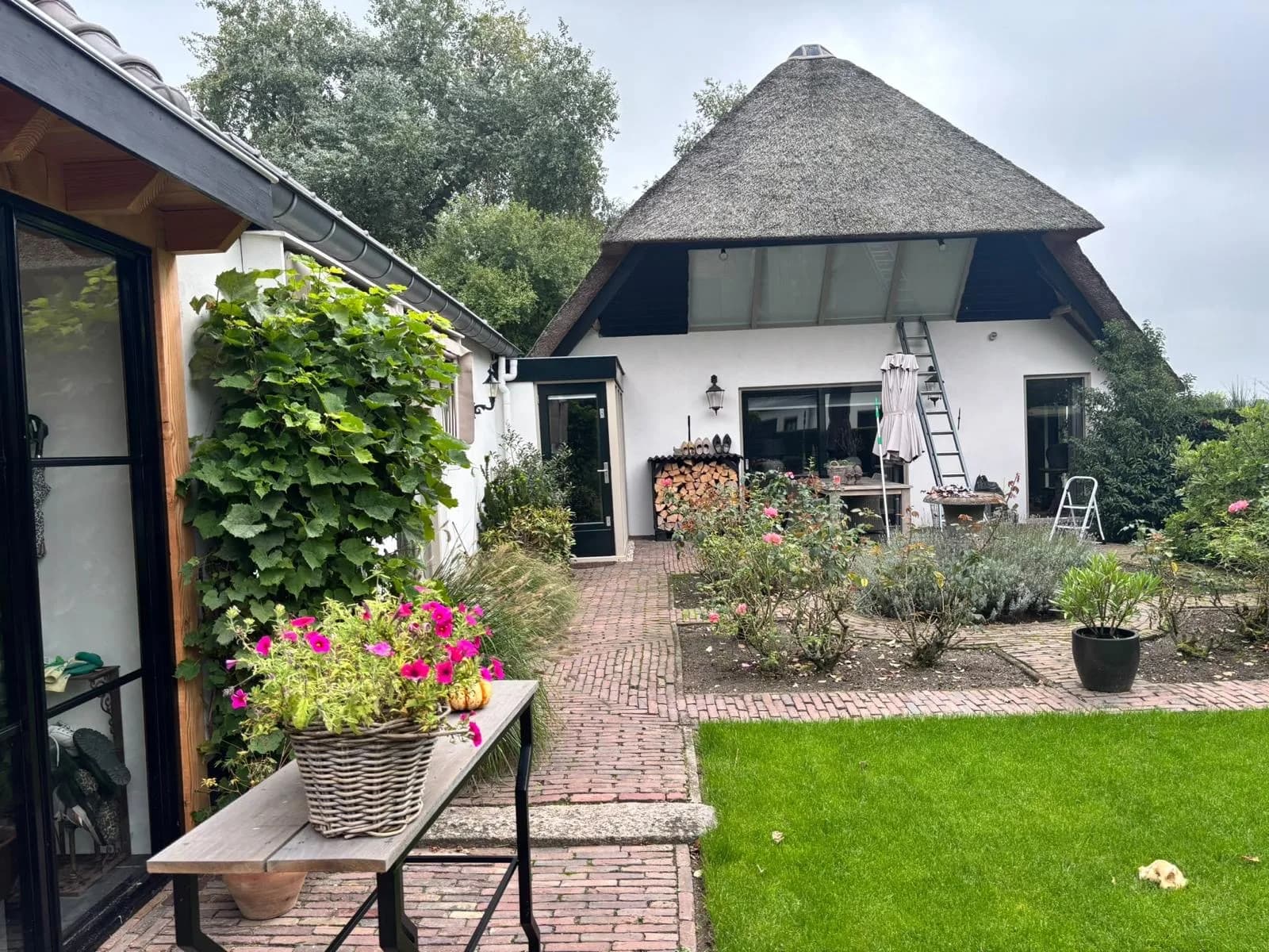 Rietgedekte woning met tuin, ladder bij de achtergevel